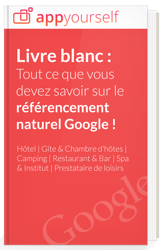 livre-blanc-seo4