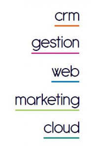 logo long infocob solutions